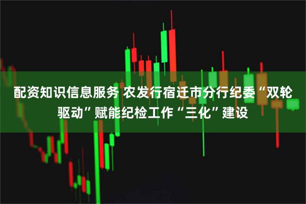 配资知识信息服务 农发行宿迁市分行纪委“双轮驱动”赋能纪检工作“三化”建设
