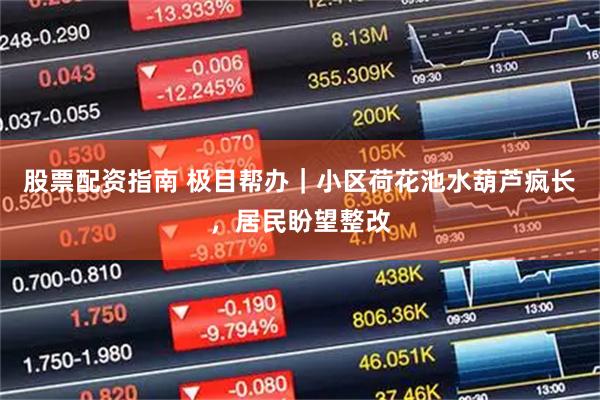 股票配资指南 极目帮办｜小区荷花池水葫芦疯长，居民盼望整改